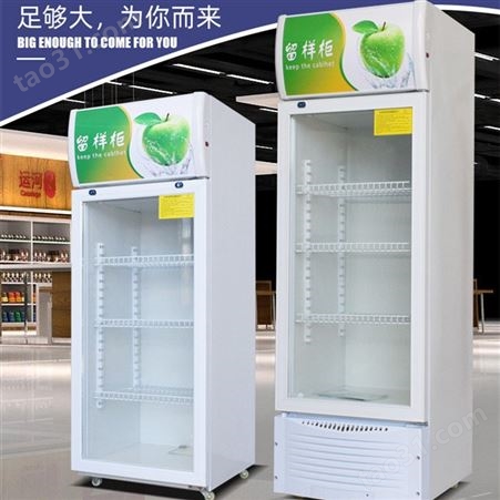 小型留样保鲜柜 广东食品留样冰箱食堂食品冷藏柜