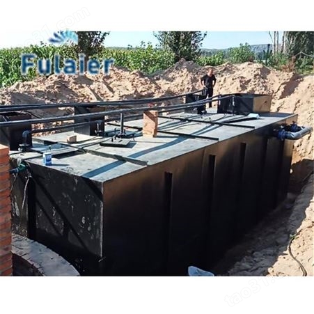 城镇污水处理设备 福莱尔农村城镇生活污水处理设备 可达排放标准