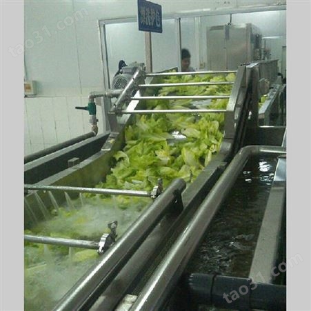 全自动可连续式蔬菜清洗机 果蔬清洗机设备 清洗机械  辣椒清洗机全304不锈钢材质