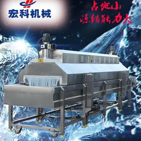 304不锈钢撒尿牛丸单冻速冻机 商用鱿鱼圈液氮速冻机 宏科机械非标定做加工