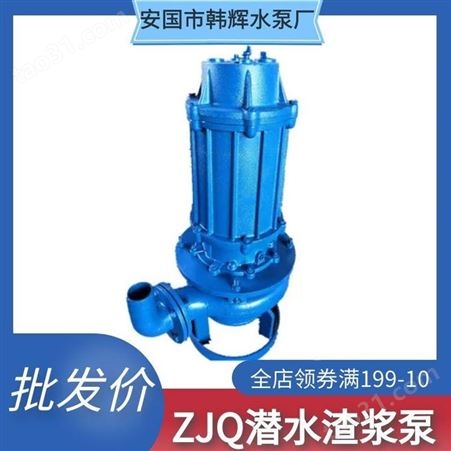 ZJQ大型立式潜水渣浆泵 搅拌式船用泵 高铬耐磨渣浆泵 韩辉