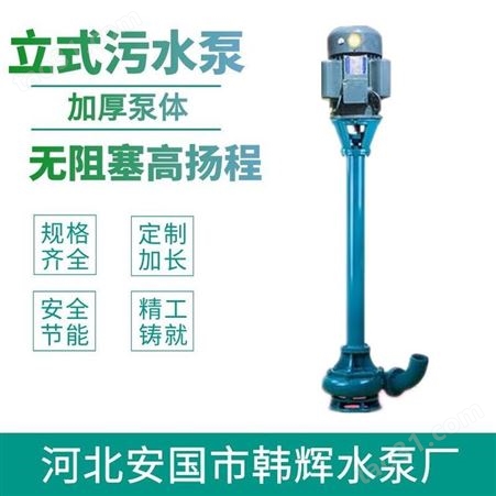 立式长轴污水泵 100NWL立式污水泵 立式污水泵韩辉厂家不错