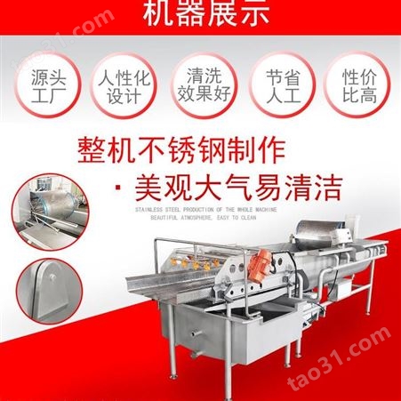 多功能洗菜机JY-4200自动翻转出料涡流洗菜机 厨房蔬菜清洗机