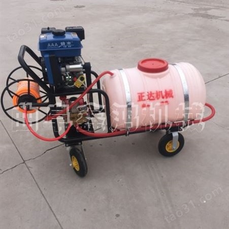 移动式高压喷雾器棉花防虫汽油喷雾器带桶式汽油打药机