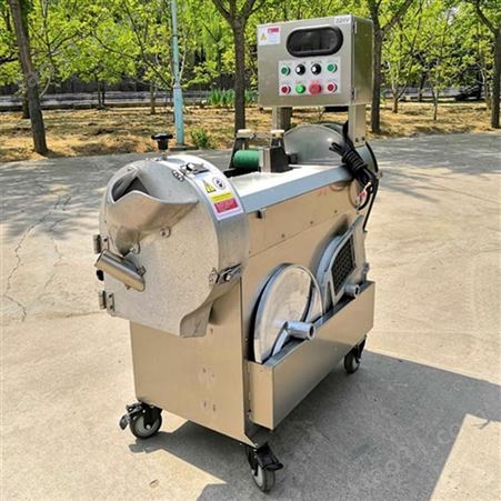 中国台湾801双头切菜机 商用土豆切丝机 黄瓜胡萝卜切片机 酸豆角切段机