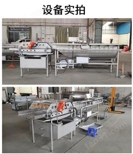厂家洗菜机JY-4200净菜加工流水线配套设备 臭氧消毒洗菜机