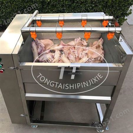 猪蹄毛辊清洗机 洗猪脚机