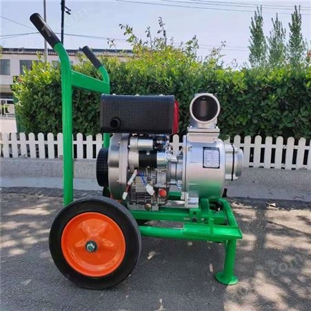 抽水泵参数 汽油手推式自吸泵 农用浇灌离心泵