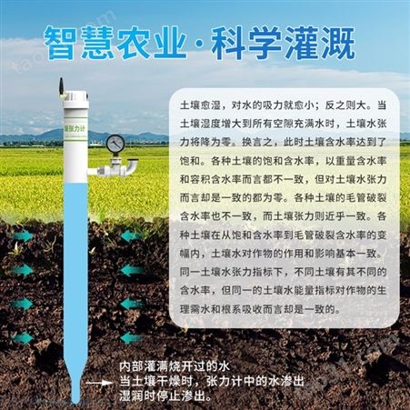 土壤张力传感器 农业灌溉水势在线监测 吸水率土壤水分负压计