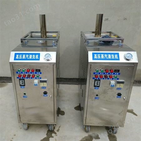 燃气移动蒸汽洗车机 节能环保蒸汽洗车机 高压蒸汽清洗机