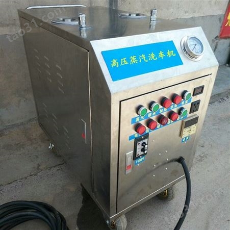 燃气移动蒸汽洗车机 节能环保蒸汽洗车机 高压蒸汽清洗机