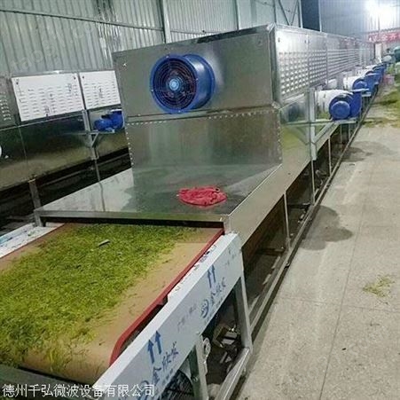铜仁五谷杂粮微波熟化设备生产厂家