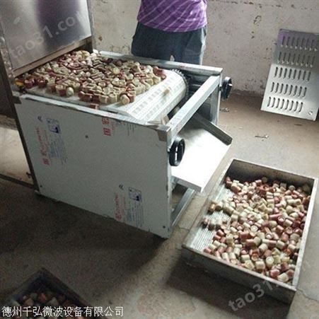舟山水果干燥设备生产商