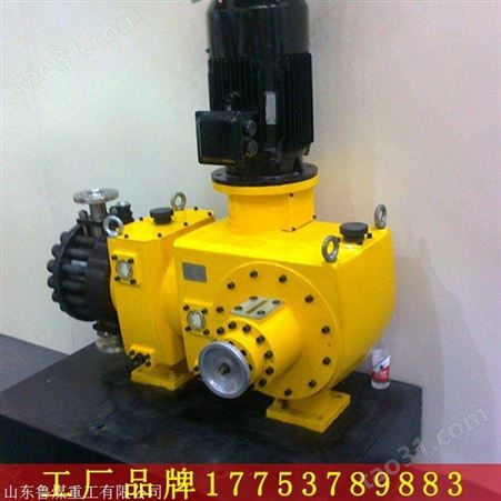 隔膜计量泵 隔膜计量泵流量控制 隔膜计量泵防护等级