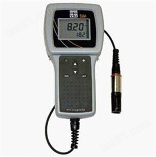 美国YSI550A便携式溶解氧测量仪  促销