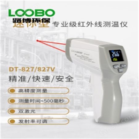 DT-163W食品测温仪 30米食品温度测量记录仪