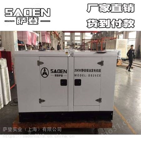 萨登大型供电10千瓦柴油发电机
