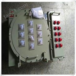 BXD51移动式防爆动力配电箱 BXD51-9K200户外9回路防爆动力配电箱