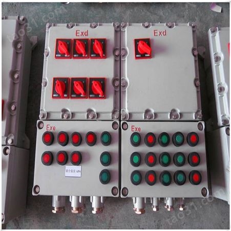 BXD51-8K防爆动力配电箱 BXM51-12K防爆照明配电箱 多回路带总开
