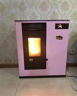全自动智能取暖炉生物颗粒取暖炉家用商用取暖节能 新能源壁炉