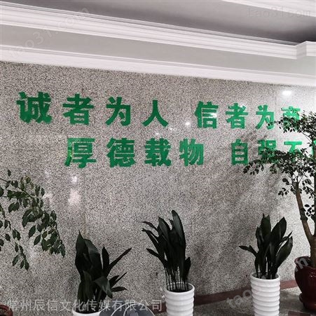 江苏泰州 浮雕文化墙 辰信 文化墙制作 水晶字形象墙