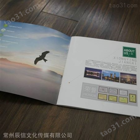 产品样本设计 辰信 纪念册设计印刷 双面彩印杂志册