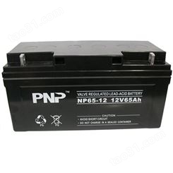 PNP蓄电池NP12-120/12V120AH后备电源