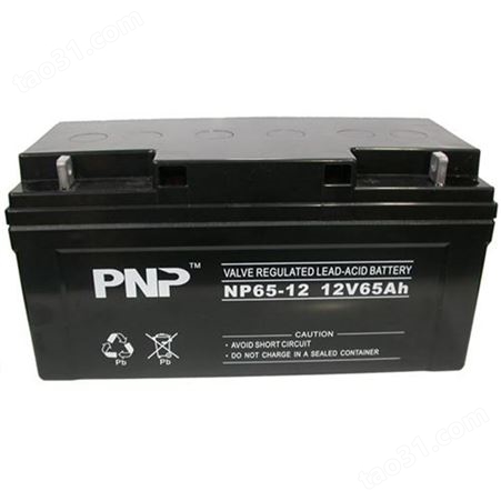 PNP蓄电池NP12-100/12V100AH详细介绍