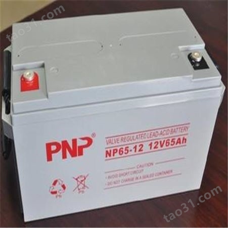 PNP蓄电池NP12-12安全系统