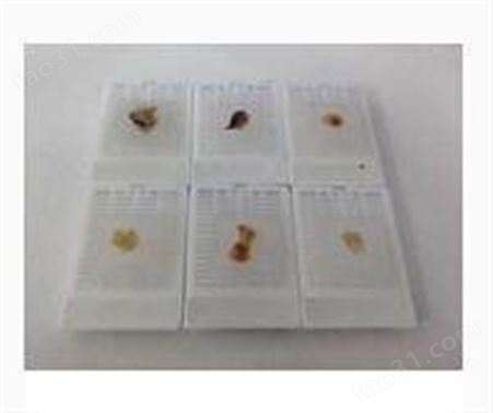 细胞石蜡包埋 上海茁彩检测服务