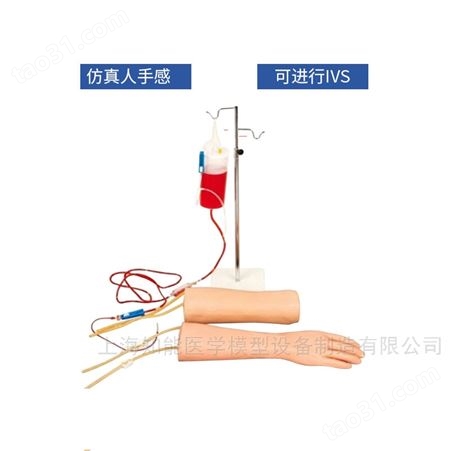 BIX/HS18高级手部、肘部组合式静脉输液（血）训练模型