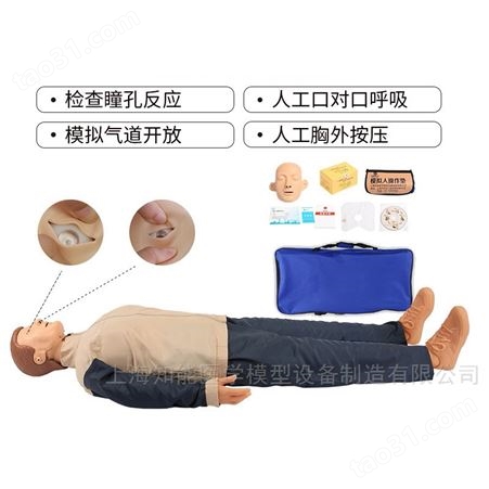 BIX/CPR100D简易全身心肺复苏急救培训人 简易急救训练模拟人
