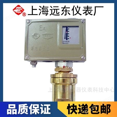 上海远东仪表厂D540/7T温度控制器0890100