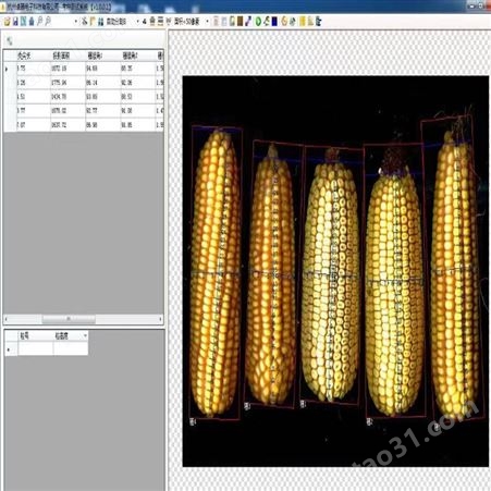 玉米考种分析系统扫描版SYKZ-A