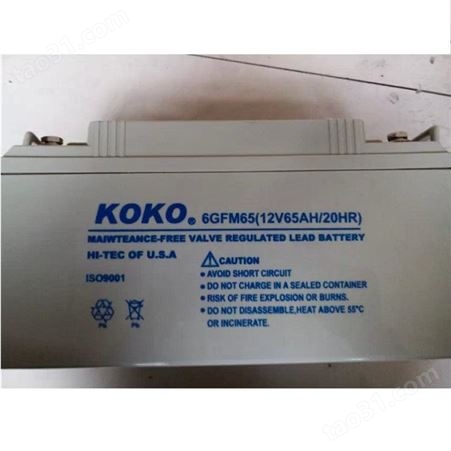 KOKO可可蓄电池GFM-500 2V500AH 铁塔基站UPS电源可可蓄电池