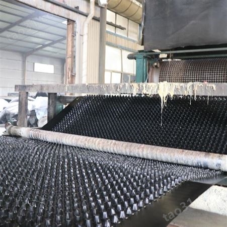 凹凸型排水板 塑料排水板 绿化工程排水板 质量可靠