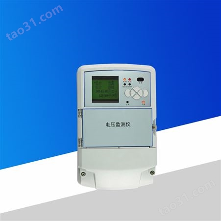 河北电压监测仪DT3-100G
