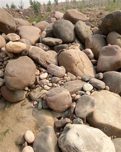 河滩石 河北邢台水冲石 园林景观用河滩石产地批发