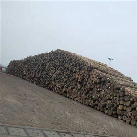 辐射松建筑木方 4x6辐射松建筑木方定制厂家报价批发