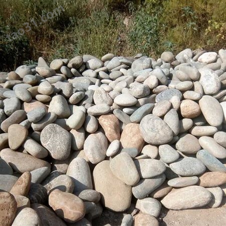 供应河北邢台金磊石材30-9000mm沙石砾石卵石价格 天然河卵石 鹅卵石批发