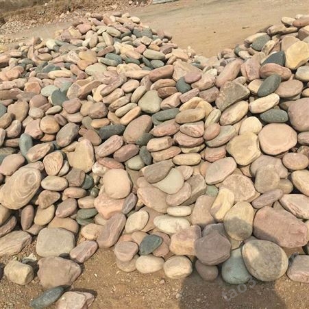 河北邢台大型鹅卵石厂家 大型天然鹅卵石批发