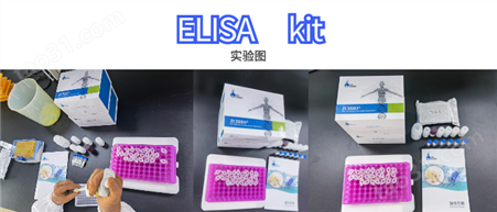 ZC-A4126 核DNA染色液(AO法)检测试剂盒