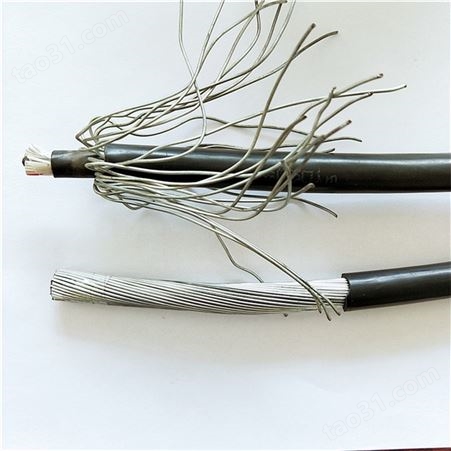 阻燃总线RS485铠装通讯电缆参数