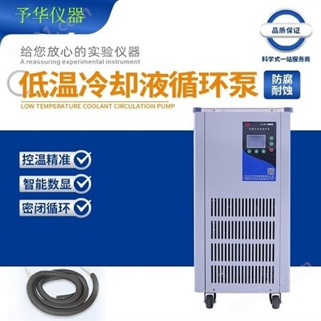 DLSB-10/60低温冷却液循环泵 低温-60°C